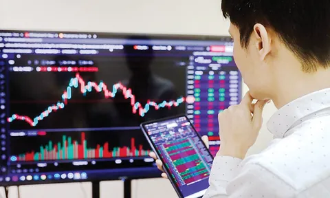 Chứng khoán Việt Nam sụt giảm: Nhiều quỹ vẫn kỳ vọng thị trường sẽ tăng trong dài hạn