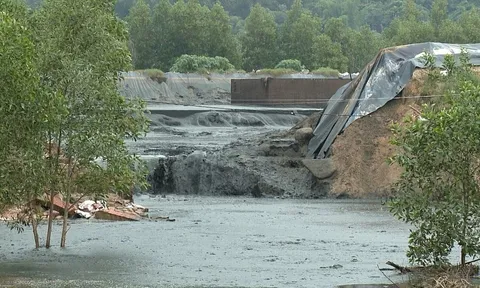 Vỡ hồ chứa chất thải rộng 5.000 m2 của Công ty Đại Nam