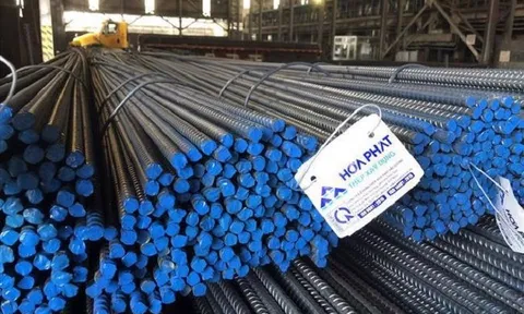 Tiên đoán của 'vua thép' Trần Đình Long ứng nghiệm: Hòa Phát lỗ 1.800 tỉ đồng quý 3/2022