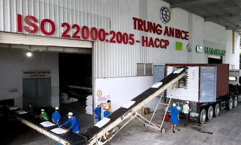 Lợi nhuận Gạo Trung An chạm đáy 3 năm