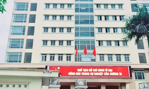 Nghệ An tạm hoãn xuất cảnh với loạt giám đốc doanh nghiệp chây ỳ nợ thuế
