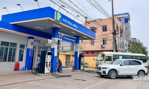 'Ăn đậm' đầu năm, PVOil lỗ nặng quý III vì 'om' hàng giá cao