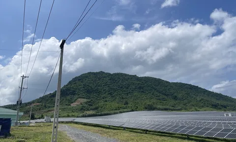 Làm rõ trách nhiệm liên quan ở loạt dự án điện mặt trời ngàn tỉ ở Khánh Hòa