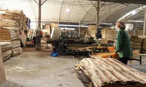 Bị 'ngâm' hoàn thuế VAT 1.000 tỉ đồng, doanh nghiệp gỗ kêu cứu