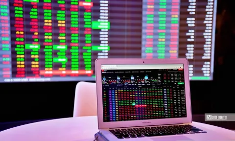 Thị trường "xanh vỏ đỏ lòng" với hơn 200 mã sàn