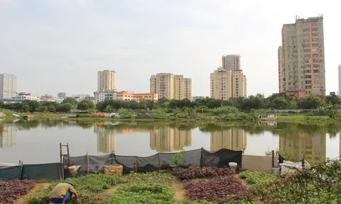 "Đất vàng" khu đô thị nghìn tỷ đồng thành nơi trồng rau, đổ rác