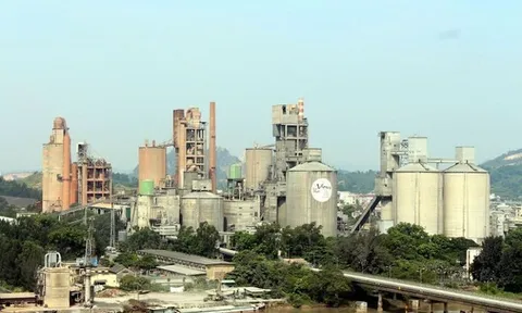 Soi tài chính Vicem Hoàng Thạch trước khi Chủ tịch Lê Thành Long bị bắt