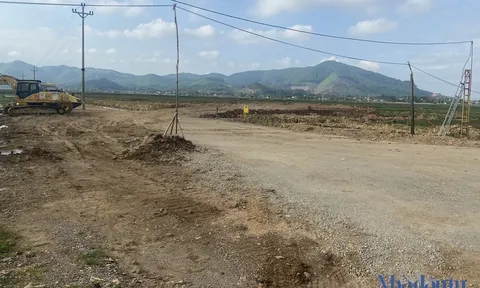 Vì sao dự án FDI 30 triệu USD Vietfast của Montop Holdings Limited bị đình chỉ thi công?