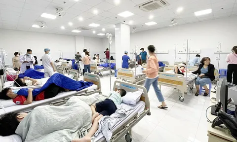 Loại vi khuẩn trong vụ ngộ độc của 600 trẻ ở trường Ischool Nha Trang
