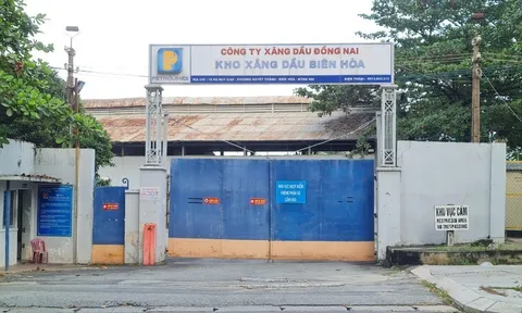 Đồng Nai: Bao giờ 'đất công' được trả lại?