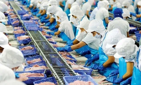 Tài chính khó khăn, Thuỷ sản Nam Việt lùi thời gian trả cổ tức