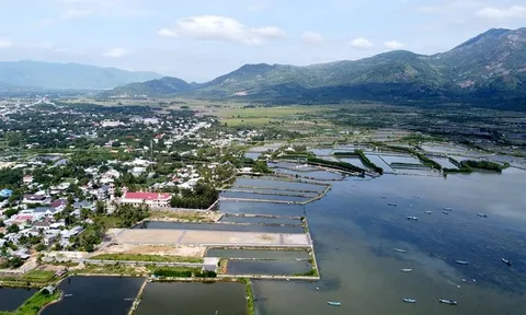 Khánh Hòa: Tạm dừng đăng ký biến động hơn 2.300 thửa đất tại Cam Lâm