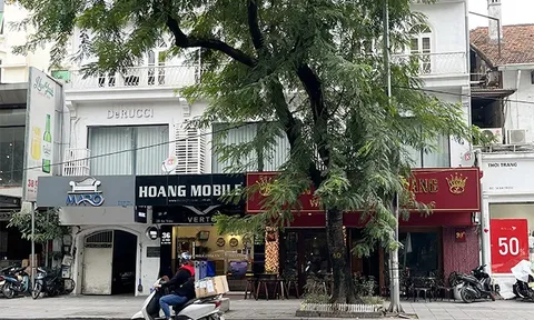 Nhiều sai phạm trong quản lý nhà chuyên dùng tại các khu đất 'vàng' ở Hà Nội