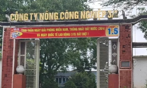 Công ty Nông công nghiệp 3/2: Lãi mỏng, dòng tiền âm, nợ phải trả tăng mạnh