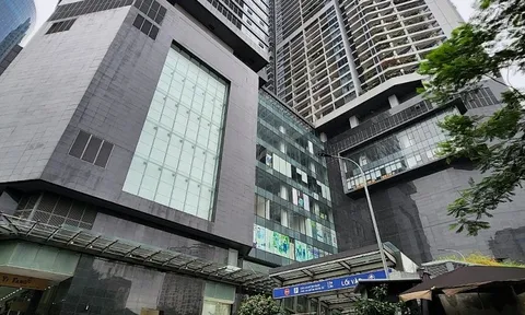 Dự án Discovery Complex chưa nghiệm thu phòng cháy đã đưa vào sử dụng