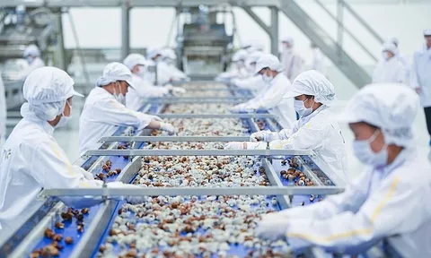 Gần 7.000 lao động bị doanh nghiệp nợ hơn 110 tỷ đồng tiền lương