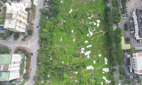 Cận cảnh dự án nghìn tỷ bỏ hoang được người dân tận dụng trồng rau và đổ rác thải