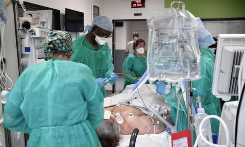 Cảnh báo có hơn 500 dòng phụ của biến thể Omicron đang lưu hành