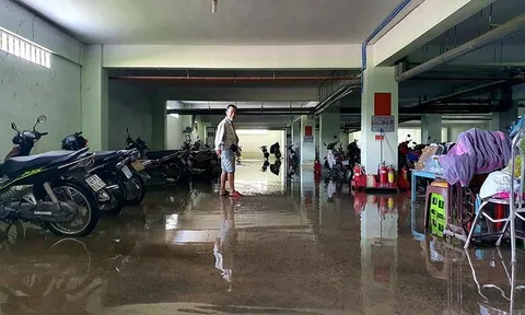 Dân khổ vì hầm chung cư, thang máy ngập nước