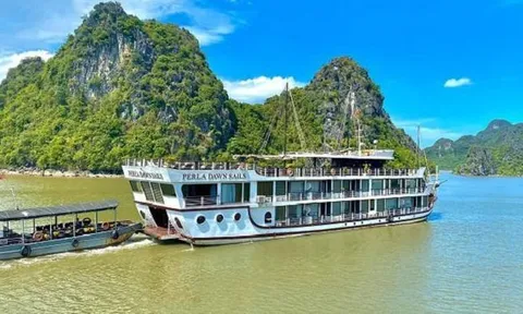 Doanh nghiệp cho nhân viên nghỉ Tết sớm 1 tháng, không hẹn ngày đi làm