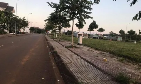 Không có đất bán vẫn nhận tiền cọc hàng tỉ đồng