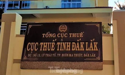 Kiểm toán Nhà nước 'sờ gáy' loạt doanh nghiệp khai thác khoáng sản