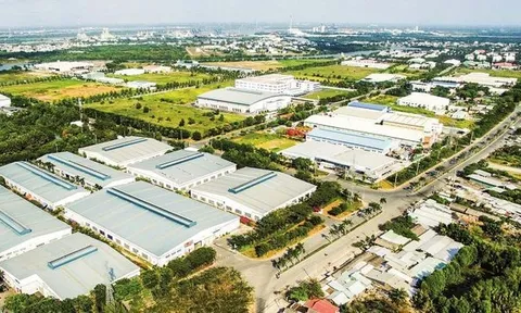 Lãng phí tài nguyên đất tại đầu tàu kinh tế TP.HCM - Bài 2: Dở khóc, dở cười khi...trồng lúa chốn đô thành