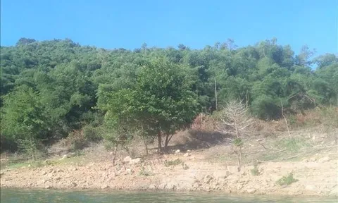 Phát hiện nhiều vi phạm liên quan đất đai tại Vĩnh Thạnh, Bình Định