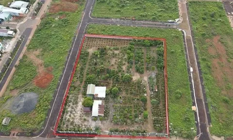 Công an vào cuộc lô 'đất vàng' 7.000m2: Chủ tịch huyện ưu ái bất thường