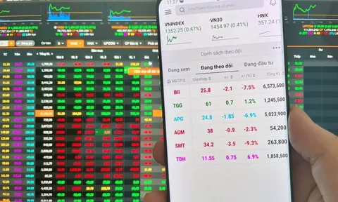 Vụ “thổi giá” cổ phiếu TGG, BII: Công ty chứng khoán “bơm tiền” nghìn tỷ ra sao?