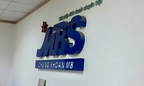 Chứng khoán MB khốn đốn khi cổ phiếu lao dốc