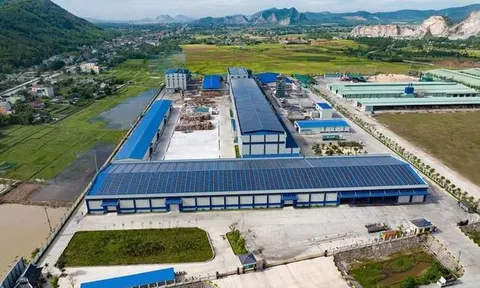 Thanh Hóa: Một doanh nghiệp bị xử phạt gần 560 triệu đồng vì vi phạm trong lĩnh vực môi trường