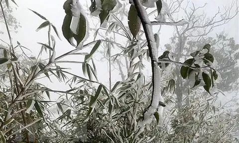 Không khí lạnh tăng cường, Bắc Bộ và Bắc Trung Bộ tiếp tục rét