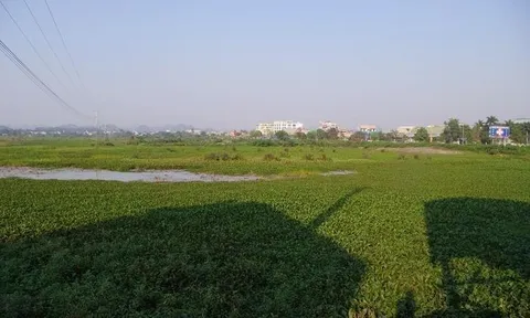 'Lùm xùm' xung quanh dự án của Tập đoàn Đất Quảng tại Thanh Hóa