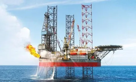 Nợ thuế quá hạn hơn 20 tỷ đồng, PXI bị ngừng sử dụng hóa đơn 1 năm