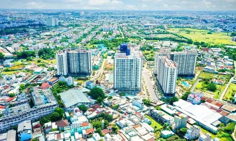 PiGroup treo thưởng 500 triệu đồng và 5 năm phí quản lý cho cư dân Picity High Park