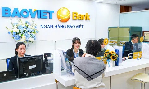 BaoViet Bank Đồng Nai: Hơn 1.000 tỷ cho vay không tài sản đảm bảo, tiềm ẩn rủi ro