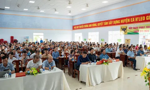 Hội thảo “Phát triển cà phê bền vững trên địa bàn huyện Ea H’leo” (Đắk Lắk): nâng tầm giá trị cây cà phê