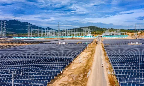 'Ông trùm' năng lượng tái tạo Trung Nam Group hồi phục mạnh trong 6T2024, nợ ngân hàng và trái phiếu gần 44.000 tỷ đồng