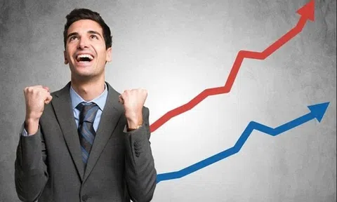 Cổ phiếu này chỉ tăng giá một phiên, nhà đầu tư lời bằng 5 năm gửi tiết kiệm