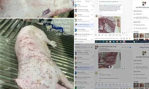 Thông tin trên MXH tố C.P Việt Nam bán heo bệnh ra thị trường: Người đứng đơn tố cáo nói gì?