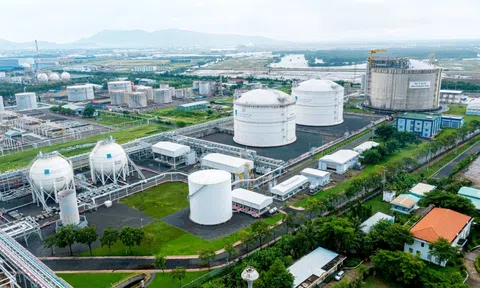 Petrovietnam và tham vọng mảng điện (Bài 1): Đòn bẩy chiến lược trong quy hoạch điện khí quốc gia