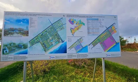 "Ông lớn" đứng sau khu đất 60 ha vừa trúng đấu giá tại Bà Rịa - Vũng Tàu là ai?