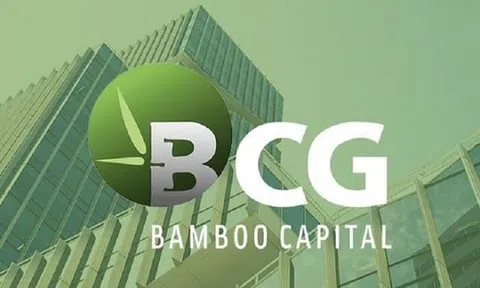 Cổ phiếu họ Bamboo Capital tiếp tục tăng kịch trần