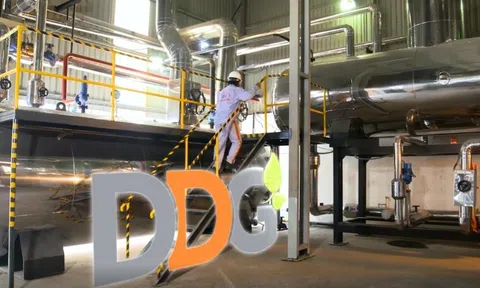 Trường Thành (TEG) và Đông Dương (DDG) bị phạt hơn 600 triệu đồng vì loạt sai phạm công bố thông tin