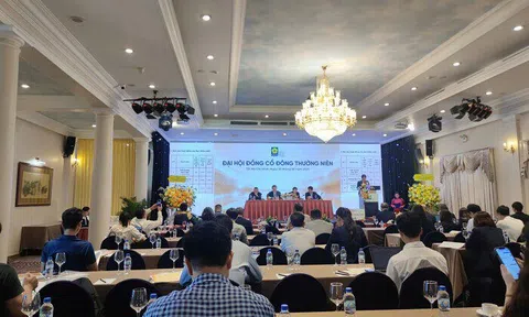 Lãnh đạo SGN: Đang quyết liệt lấy hợp đồng Sun PhuQuoc Airways, sẵn sàng nhảy vào mảng hàng hóa