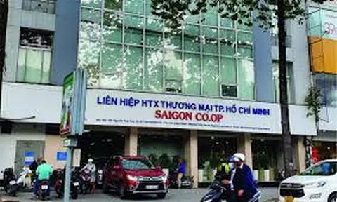 Cung cấp hàng hoá không đảm bảo chất lượng, Thực phẩm thiên nhiên King Green bị cấm thầu 3 năm
