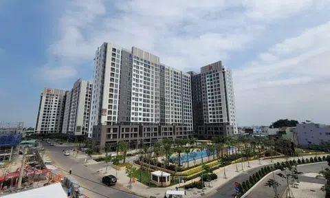 Công ty thành viên của Pi Group nợ thuế hơn 347 tỷ đồng
