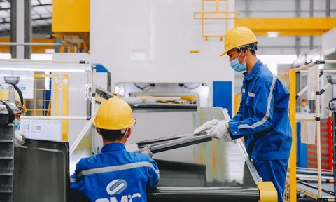 SMC còn 753 tỷ đồng trong ngân hàng, vì sao vẫn bị cưỡng chế 24 tỷ đồng tiền thuế?