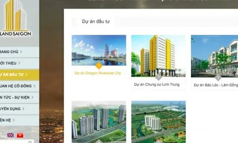 Dự án Dragon Riverside City nằm trong danh sách các dự án bị thanh tra